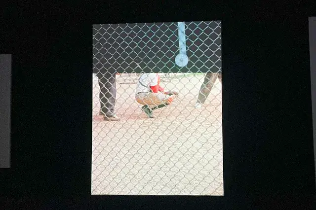 ソール・ライター展の写真