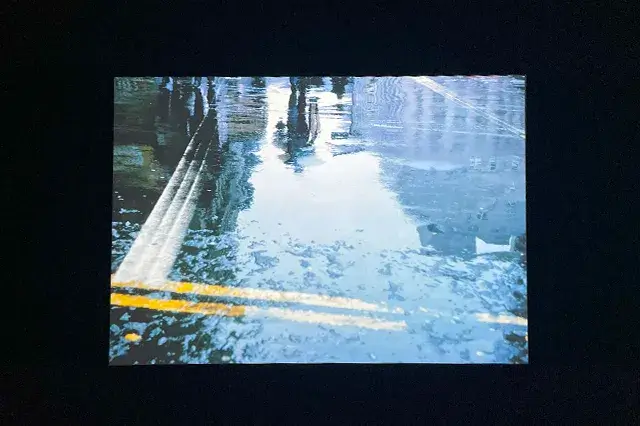 ソール・ライター展の写真